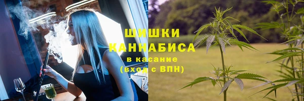 первитин Няндома