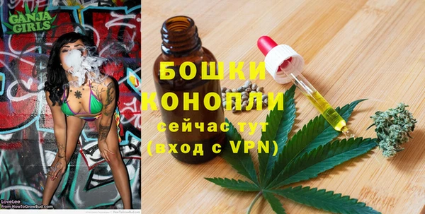 первитин Няндома