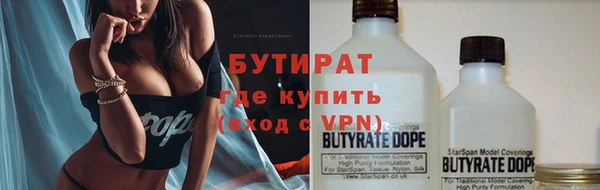 прущие грибы Новодвинск