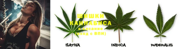 скорость Новозыбков