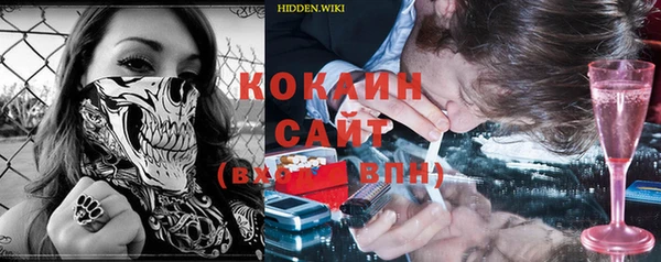 шишки Новокубанск