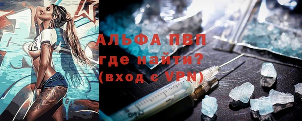 прущие грибы Новодвинск