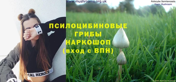 прущие крисы Нефтекумск