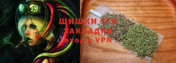 шишки Новокубанск