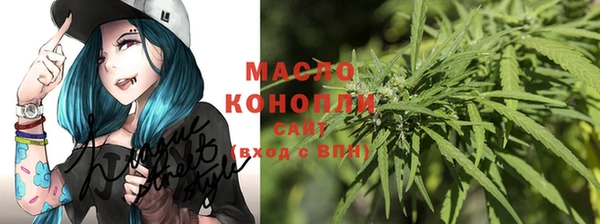 шишки Новокубанск
