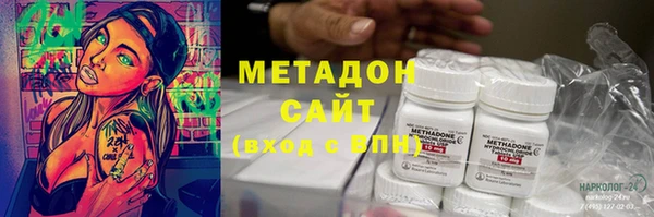 прущие грибы Новодвинск