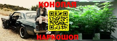 сатива Дубна