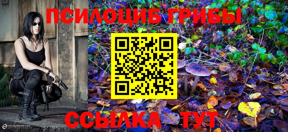 Галлюциногенные грибы Psilocybine cubensis  Вход с VPN  Кимры 