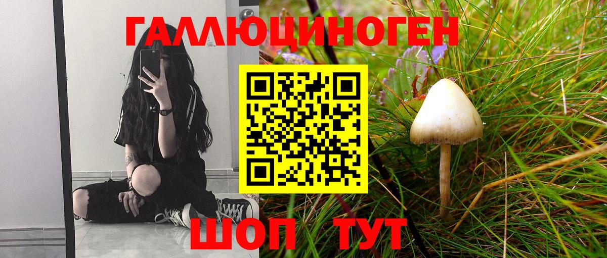 Псилоцибиновые грибы ЛСД Кимры