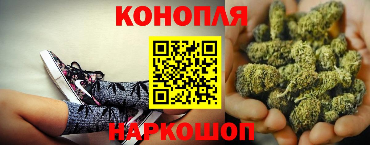 Каннабис сатива Кимры